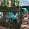 1.500 Mangrove Ditanam di Instalasi Tambak Silvofishery Maros