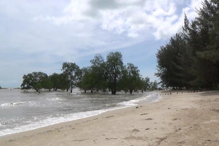 7400 Koleksi Hantu Hutan Bakau Gratis