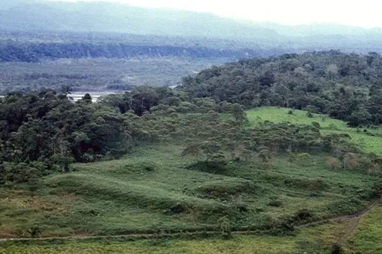 Para arkeolog telah mempelajari gundukan buatan manusia di Lembah Upano selama beberapa dekade, namun pemindaian LiDAR memberi mereka pemandangan lanskap yang belum pernah ada sebelumnya.