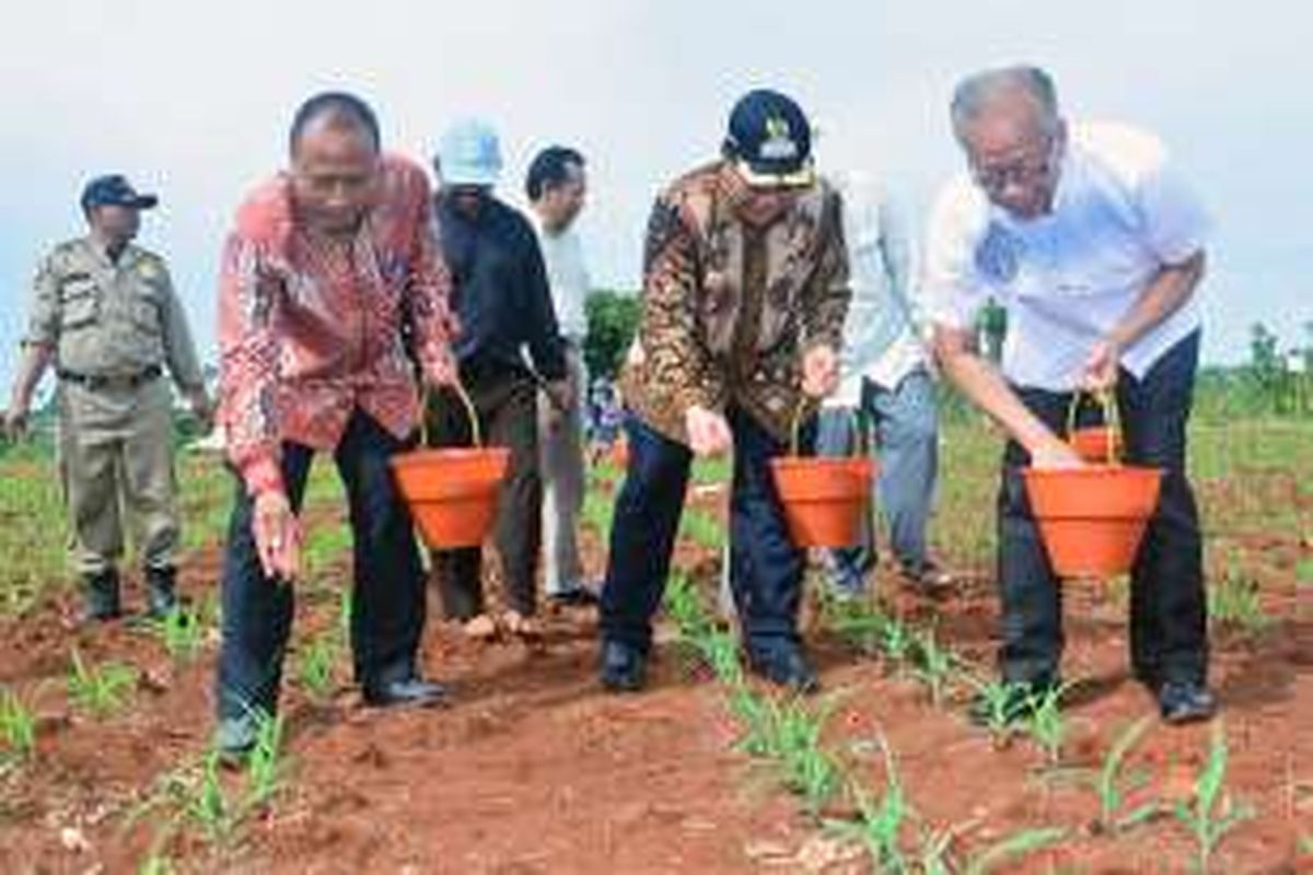 Mantan Wakil Menteri Pertanian Rusman Heriawan (kanan), saat berada di kawasan percontohan peningkatan produktivitas jagung di Taman Teknologi Pertanian (TTP) di Desa Banyubang, Jumat (21/10/2016).