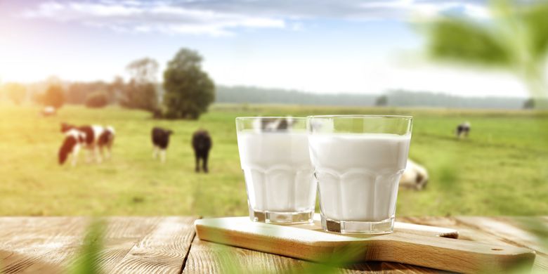 Ilustrasi susu sapi. Sejumlah orang dapat menderita alergi susu sapi.