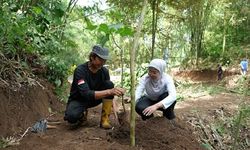 Perkuat Ketahanan Lingkungan dan Ekonomi Warga, Bakti BCA Restorasi Mata Air dan Tanam 21.000 Pohon