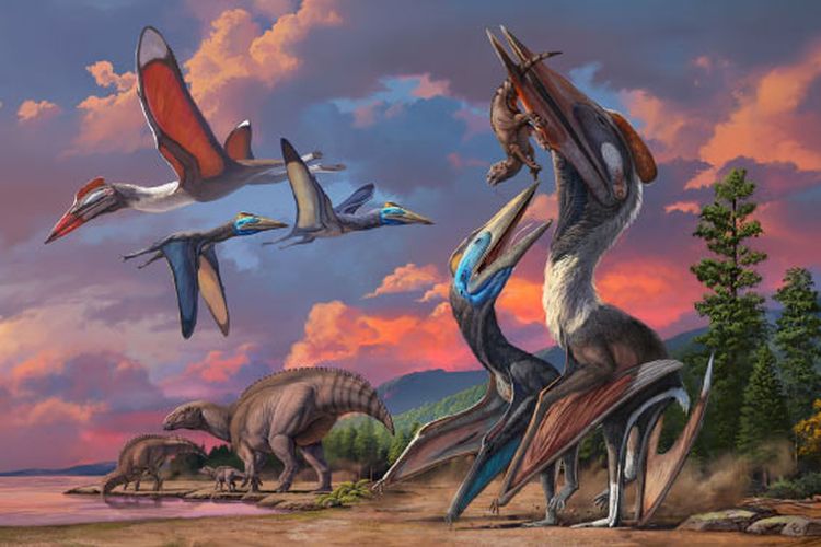 Rekonstruksi pterosaurus azhdarchid Bayanshiree: koeksistensi antara Gobiazhdarcho tsogtbaatari dan Tsogtopteryx mongoliensis di lingkungan paleo Bayanshiree, dengan sekelompok Gobihadros mongoliensis di dekatnya. 