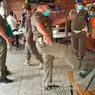 Tendang Kursi Saat Razia Prokes, Oknum Satpol PP Bakal Disanksi