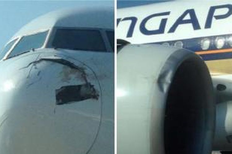 Foto kerusakan sebuah pesawat Singapore Airlines yang terpaksa kembali ke landasan di Istanbul, Turki, setelah  menabrak kawanan burung tak lama sesudah lepas landas pada hari Senin (17/8/2015).