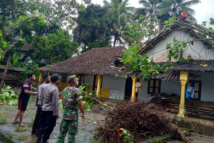 Pohon tumbang menimpa rumah warga Desa Kemloko, Kecamatan Nglegok, Kabupaten Blitar, Selasa (11/1/2022)