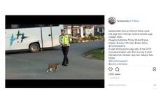 [FAKTA] Video Viral Polisi Lalu Lintas Seberangkan Kucing di Jalan Raya