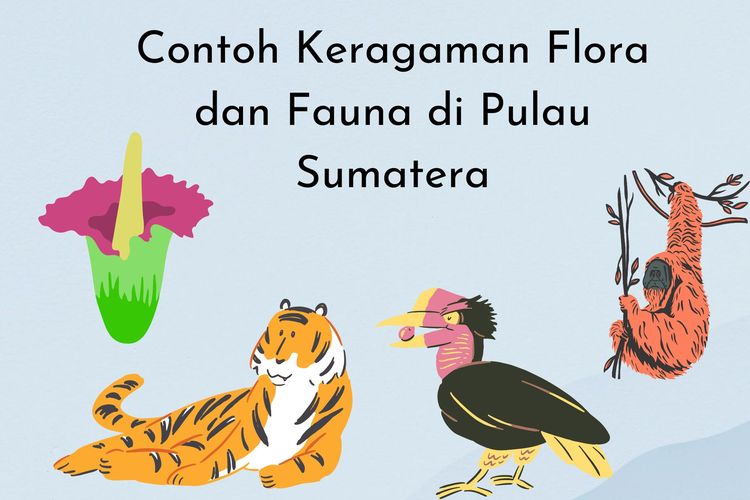 Contoh keragaman flora dan fauna di Pulau Sumatera adalah Bunga Bangkai dan Harimau Sumatera. Penjelasan lengkapnya ada di bawah ini!