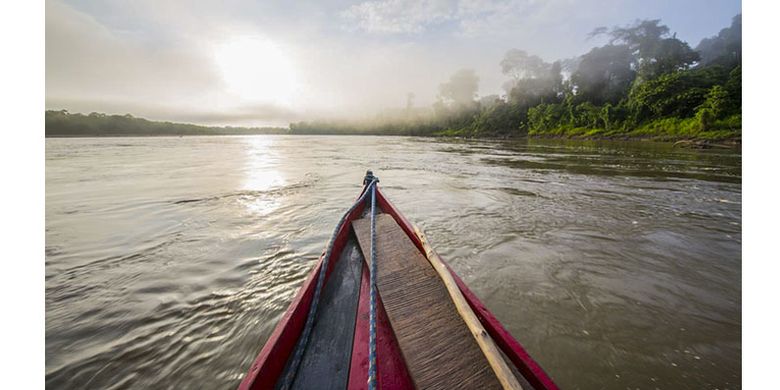 Sungai Manu di hutan Amazon, Peru