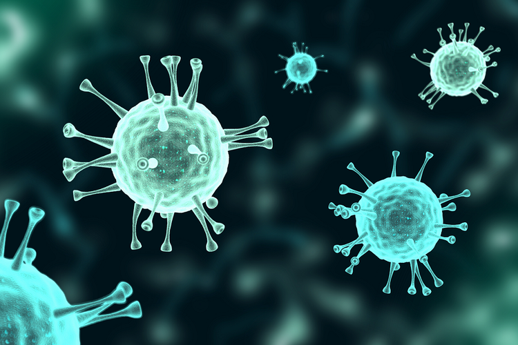 Penampakan tiga dimensi virus Covid-19 di bawah mikroskop