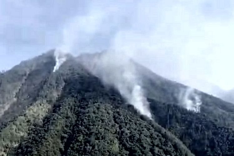 Karhutla Muncul di Puncak Pitrang Gunung Butak, Diduga Rembetan Api dari Malang