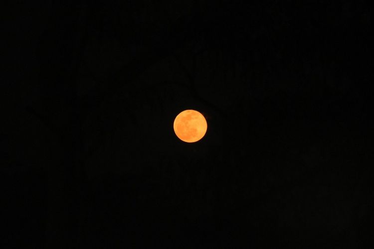 Cara menyaksikan supermoon 5 November 2025.