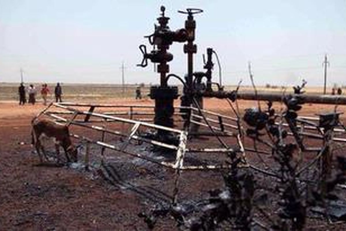 Foto yang diambil pada 3 Maret 2012 menunjukkan kerusakan lingkungan yang diakibatkan serangan udara Sudan terhadap kilang minyak di El Nar di Unity State pada 29 Februari. Pesawat-pesawat tempur Sudan kembali menggempur wilayah Sudan Selatan pada Selasa (27/3/2012).