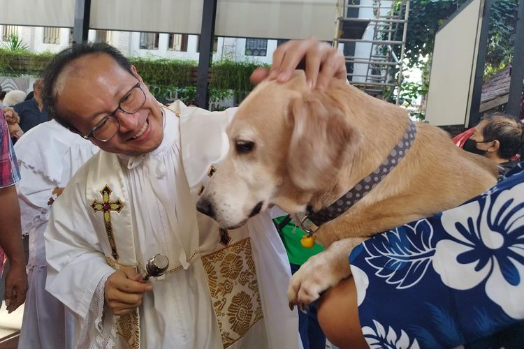 Pastor Kepala Paroki Hani Rudi Hartoko SJ memberkati seekor anjing golden retriever saat misa pemberkatan hewan di Plaza Maria Katedral Jakarta, Sawah Besar, Jakarta Pusat, Rabu (4/10/2023).