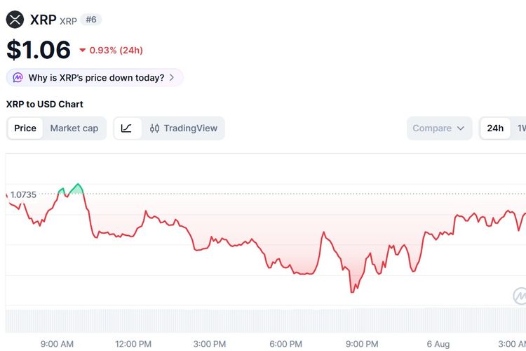 Harga XRP Hari Ini 6 Agustus 2026 Jeblok Tak Ada Tanda Bullish