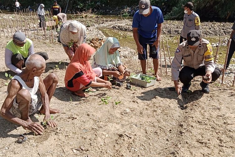Warga dan polisi menanam sayuran di aliran sungai yang mulai mengering Desa Kedunggede, Kecamatan Lumbir, Kabupaten Banyumas, Jawa Tengah, Senin (29/5/2023).