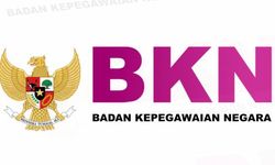 BKN Buka Pendaftaran Beasiswa Ilmu Kepegawaian 2024, Ini Syaratnya