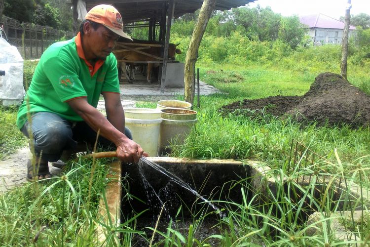 Warga Kelurahan Teluk Pamedas, Kecamatan Samboja, Kukar, mengembangkan kotoran sapi menjadi biogas.