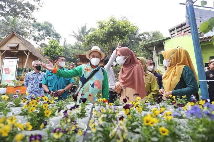 Buruan SAE : Ikhtiar Menanam di Sela Pemukiman Padat di Kabupaten Bandung
