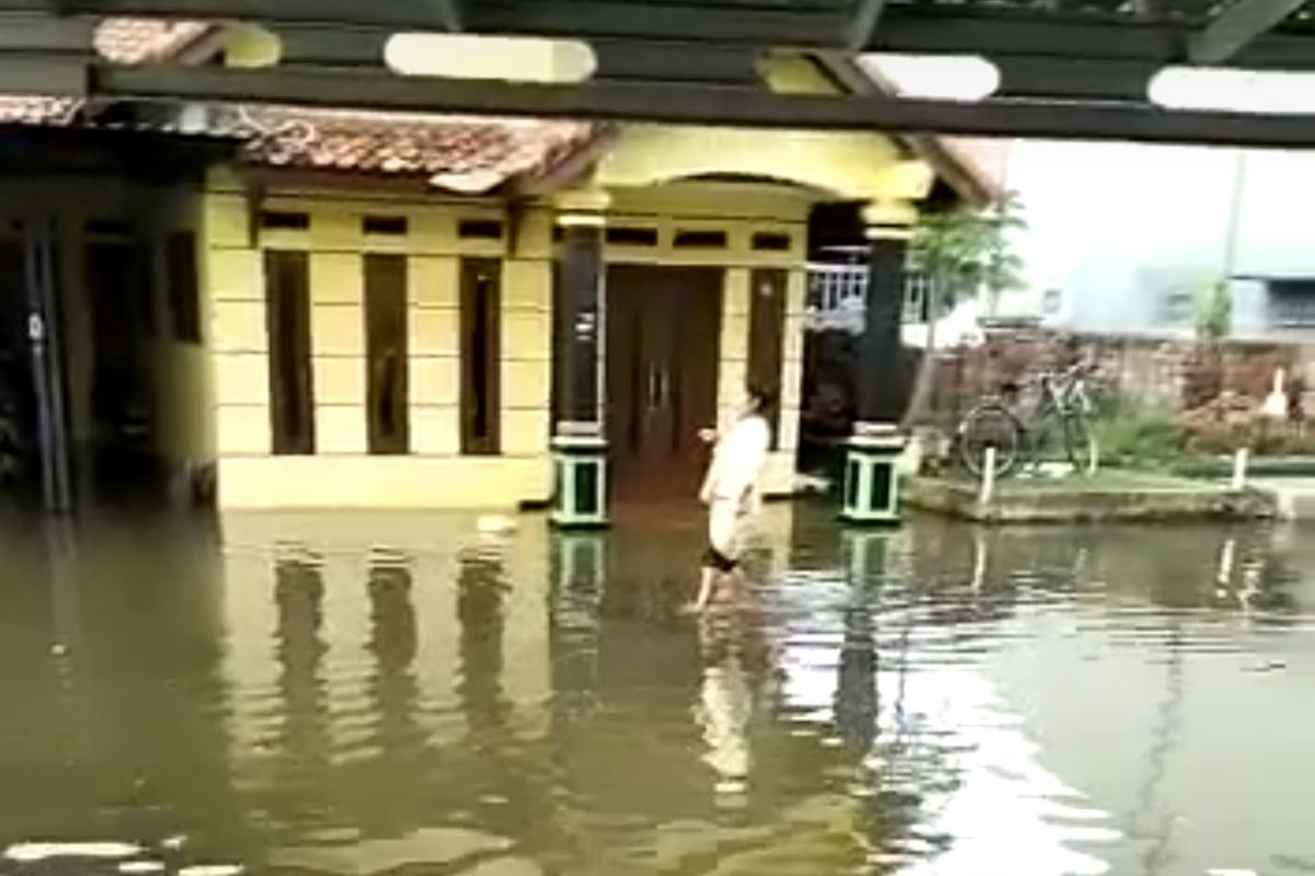 Foto tangkapan layar video amatir milik warga desa Mojo