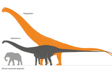 Apakah Hewan Darat Terbesar yang Pernah Hidup di Bumi?