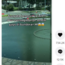 Video Viral Benda Bergerak di Kolam Bundaran HI, Ini Penjelasan Dinas Pertamanan DKI
