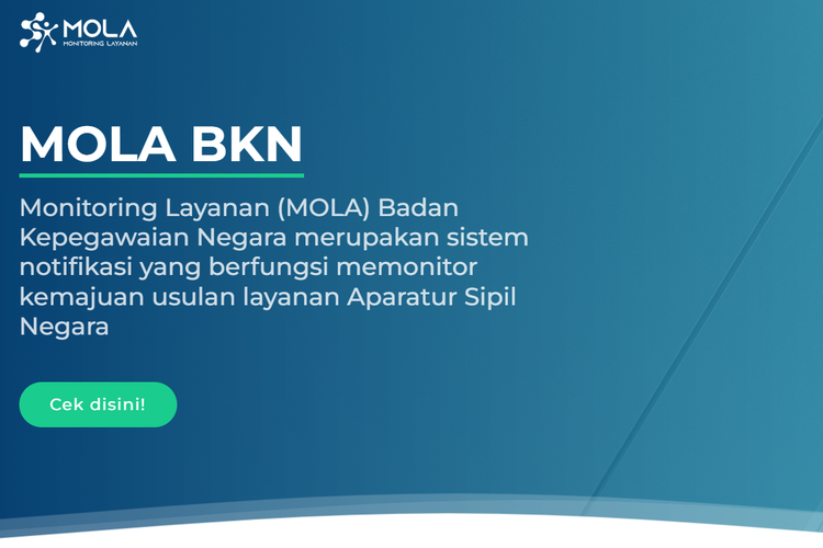 Tangkapan layar situs Mola BKN untuk mengecek progres penetapan NIK CPNS dan NI PPPK 2024.