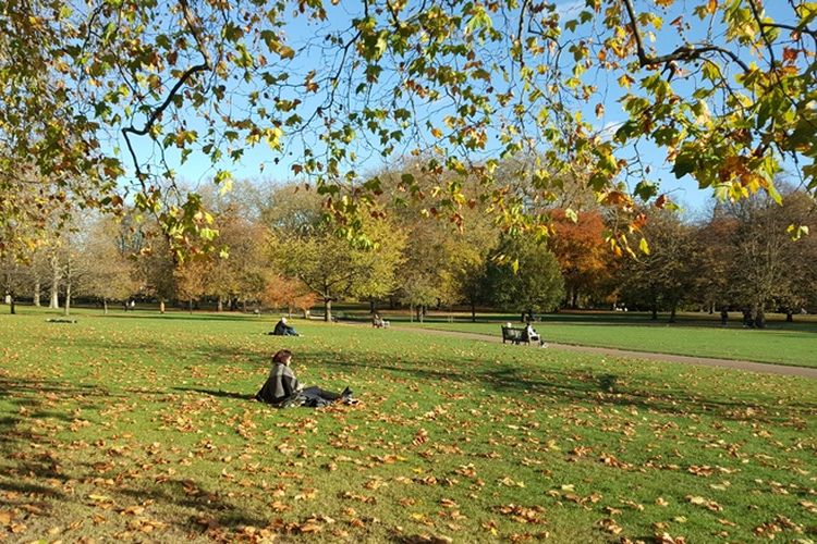 St James Park adalah taman seluas 23 hektar yang berada di sisi kiri Istana Buckingham. Taman ini juga meliputi danau yang membentang dengan angsa, pelikan dan berbagai burung lainnya yang beterbangan dan bermain di atasnya. Pengunjung juga bisa melihat tupai berlarian dan memanjat pohon. Banyak hal yang bisa dilakukan mulai duduk-duduk di bangku taman, makan siang, hingga piknik di atas rumput.