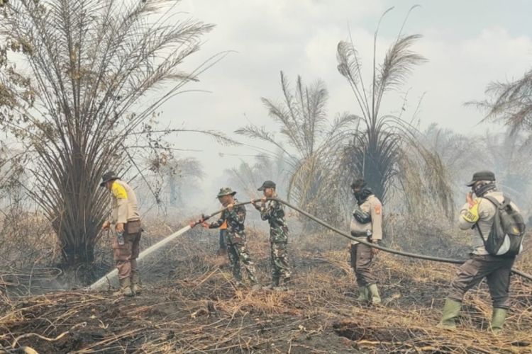 Lahan Perusahaan Terbakar di Bengkalis Riau, Petugas Gabungan Berjibaku Padamkan Api