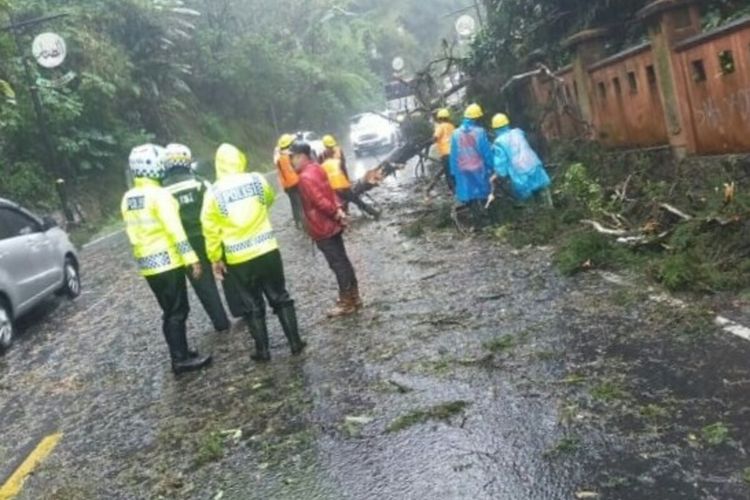 Petugas tengah mengevakuasi batang pohon yang tumbang dan sempat menutup badan jalan di kawasan Puncak Cianjur, Kamis (25/3/2021). Dalam kejadian itu satu mobil tertimpa dan pengendaranya terluka.