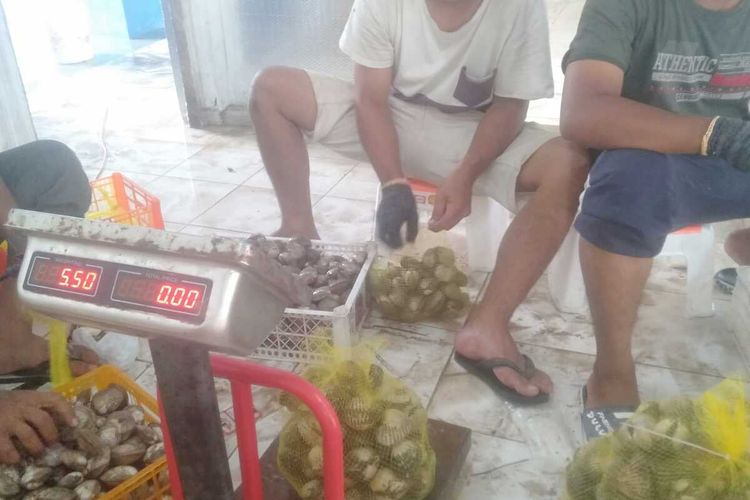Pekerja melakukan proses packing terhadap komoditas perikanan jenis kerang dara (Tegillarca granosa) saat persiapan ekspor di salah satu usaha perikanan kabupaten Aceh Besar, Aceh, Jumat (19/1/2024).