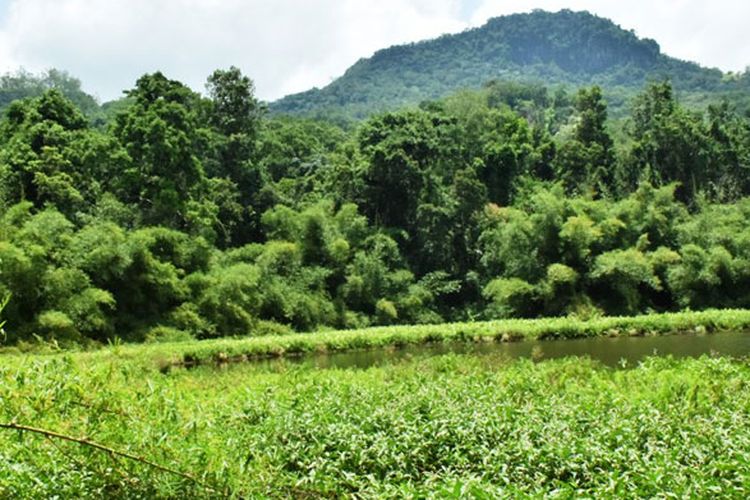 Danau Koliheret yang berada di Desa Watudiran, Kecamatan Waigete, Kabupaten Sikka, Flores, Nusa Tenggara Timur (NTT), Minggu (21/4/2019).