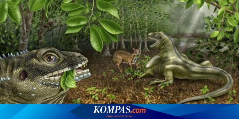  Kata  Ilmuwan Reptil Bisa Meraksasa Gara  gara  Pemanasan Global