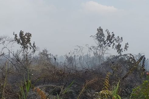 Karhutla Bermunculan Lagi di Riau, Apa Penyebabnya?