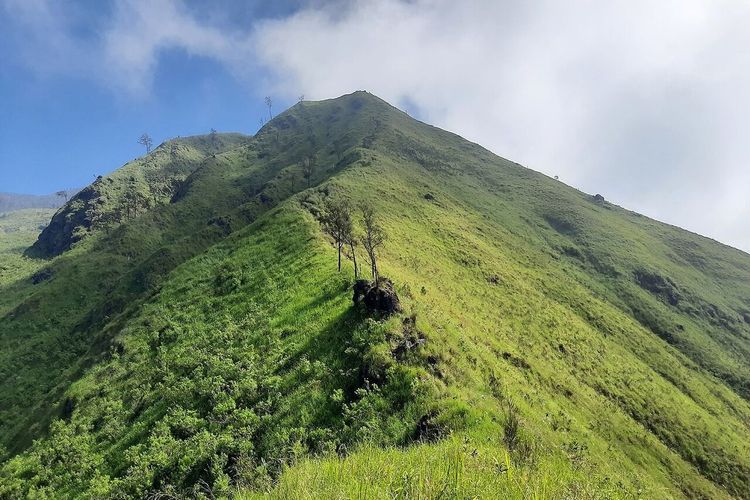 Jalur Pendakian Gunung Lincing Ditutup akibat Karhutla, Tiket Bisa 