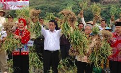 Petani Sejahtera, Ini Rahasianya!