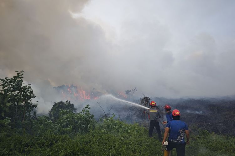 Titik Panas Karhutla Kaltim Mulai Turun, Paser dan PPU Masih Berjibaku dengan Kebakaran dan Krisis Air