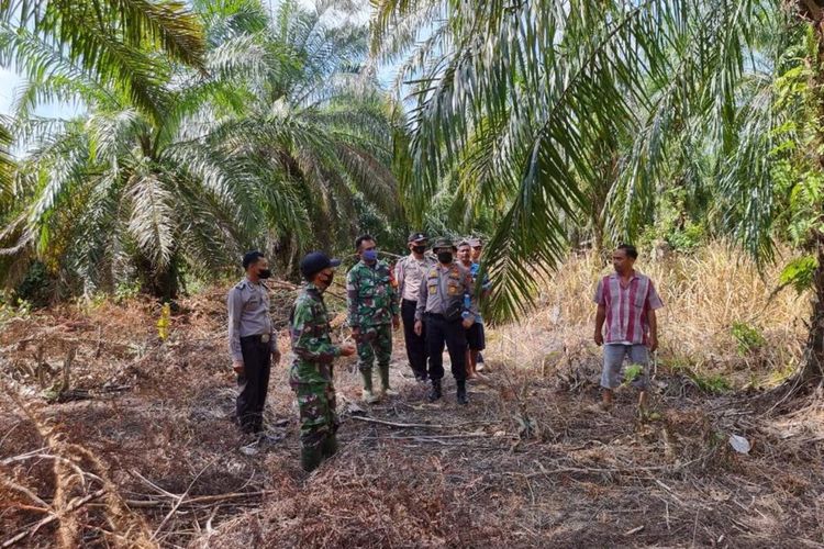 Tim gabungan menyisir lokasi kemunculan harimau sumatera di kebun sawit di Dusun 2 Tanjung Potai, Desa Tasik Tebing Serai, Kecamatan Talang Muandau, Kabupaten Bengkalis, Riau, Sabtu (16/4/2022).