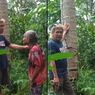 Kisah Nenek Jaenab Dituduh Mencuri 20 Buah Kelapa Miliknya Sendiri, Sempat Dimintai Rp 6 Juta agar Damai