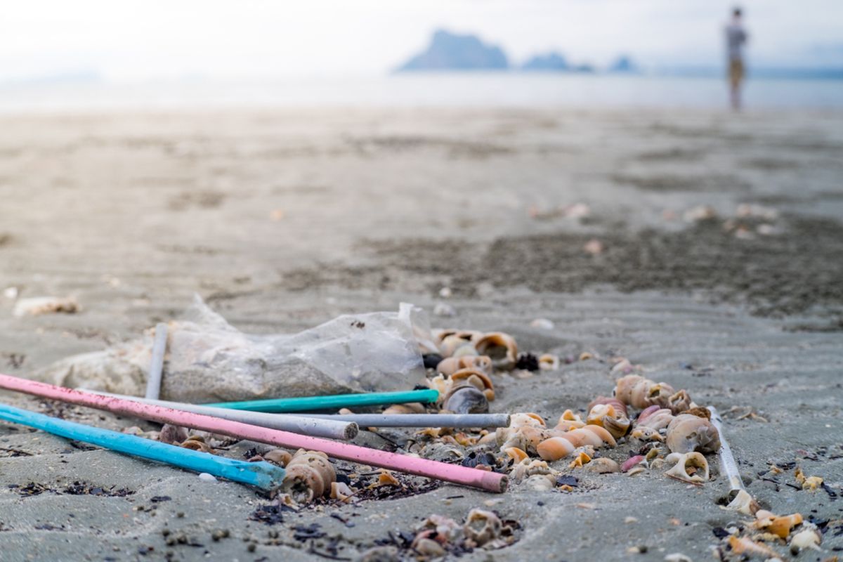 Salah satu limbah plastik yang mencemari lingkungan adalah sedotan plastik. Meski berbentuk kecil, sedotan plastik telah lama mencemari lingkungan, termasuk perairan laut.