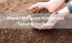 Alasan Mengapa Konservasi Tanah Diperlukan