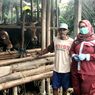 Vaksinasi PMK di Blitar Berjalan, Diprioritaskan ke Sapi Perah