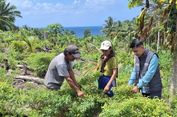 Menembus Jarak dan Medan Sulit, Mantri BRI Dampingi UMKM di Kepulauan Talaud