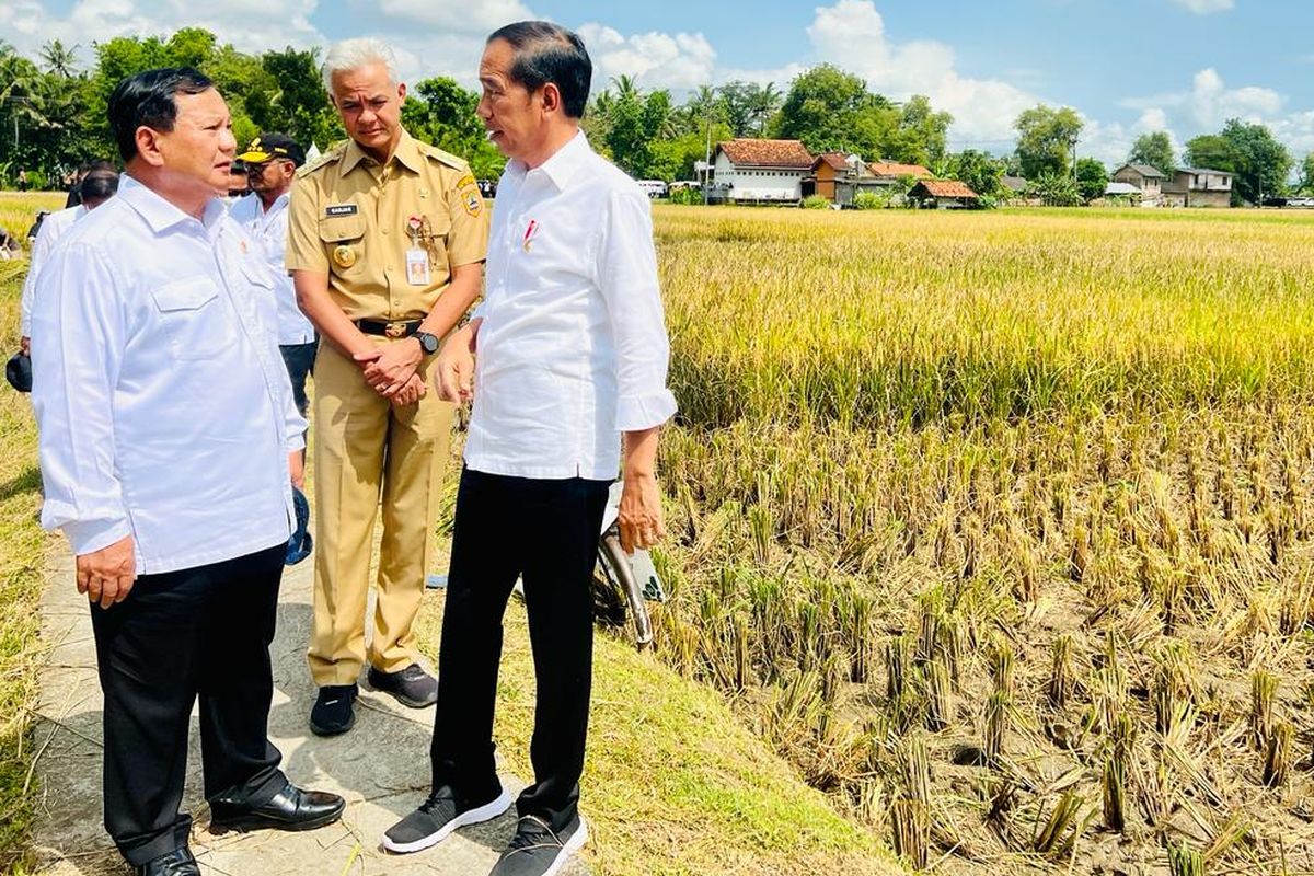 Presiden Joko Widodo, Menteri Pertahanan Prabowo Subianto, dan Gubernur Jawa Tengah Ganjar Pranowo berbincang saat menghadiri panen raya di Kebumen, Kamis (9/3/2023).