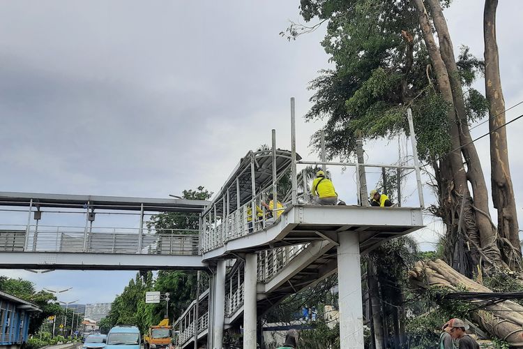 Jembatan penyeberangan orang (JPO) Gelanggang Remaja di Jalan Otto Iskandar Dinata (Otista) Raya, Bidara Cina, Jatinegara, Jakarta Timur, belum bisa dilalui pejalan kaki setelah insiden tumbangnya pohon.
