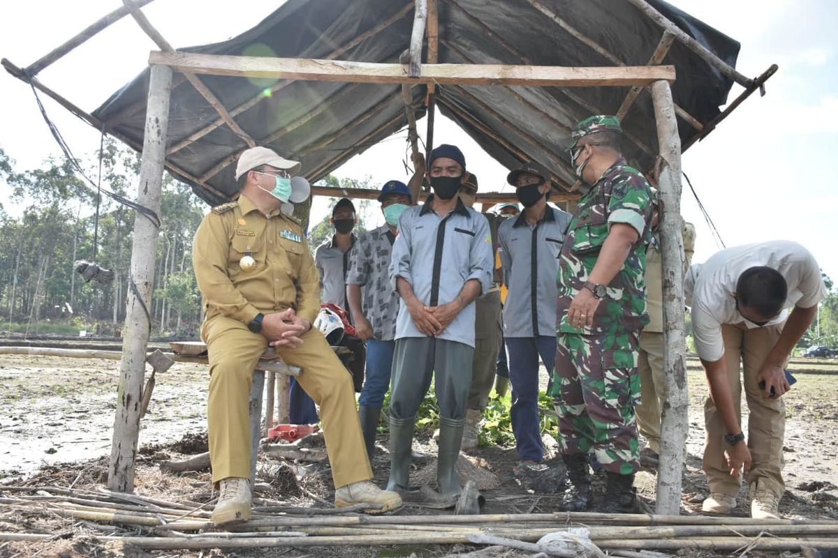 Gubernur Kepulauan Bangka Belitung Erzaldi Rosman bersama Forkopimda meninjau lahan persawahan di Desa Kerakas, Senin (28/9/20).