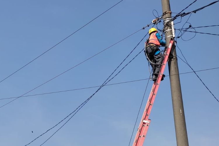 Rekrutmen atau lowongan PLN 2025.