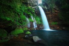 5 Wisata Alam di Purwokerto, Terdapat Kolam Alami di Tengah Hutan