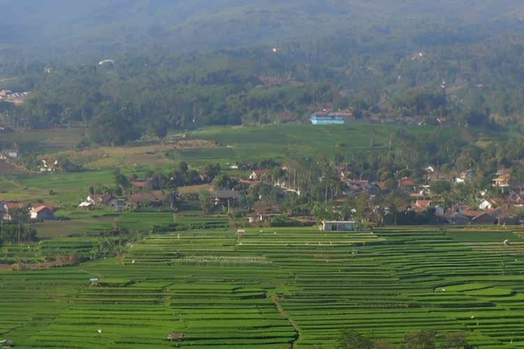 Landscape sawah terasering di kaki Gunung Kerenceng, Kabupaten Sumedang d?ilihat dari Pasir Candi Kecamatan Cicalengka Kabupaten Bandung.