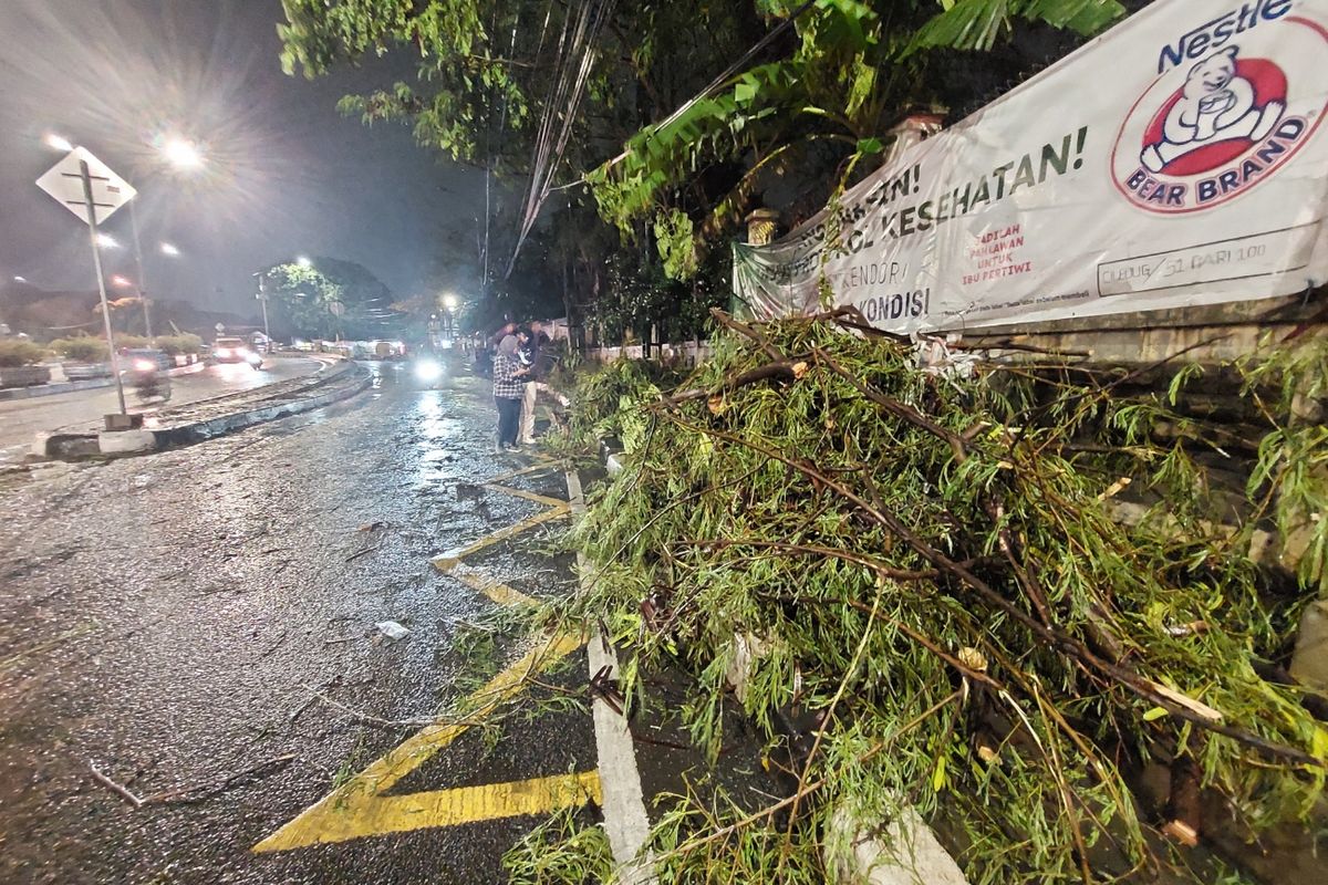 Pohon tumbang di Jalan KH Hasyim Ashari, Sudimara Barat, Kecamatan Ciledug, Kota Tangerang, Senin (6/12/2021) malam.
